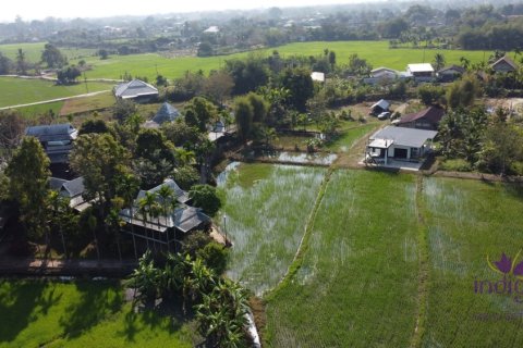 Terreno en Mae Rim, Tailandia № 205595 - foto 4