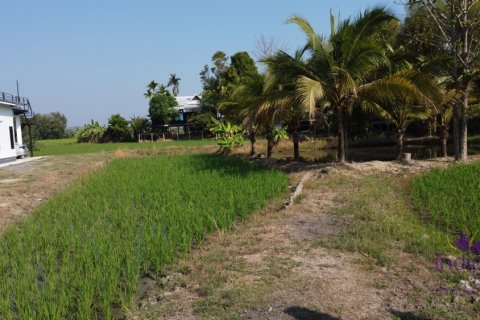 Terreno en Mae Rim, Tailandia № 205595 - foto 13