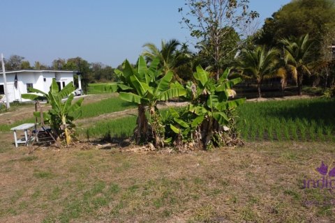 Terreno en Mae Rim, Tailandia № 205595 - foto 17