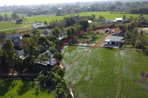 Land in Mae Rim, Thailand № 205595