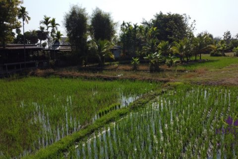 Terreno en Mae Rim, Tailandia № 205595 - foto 11
