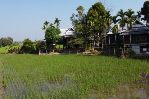 Terreno en Mae Rim, Tailandia № 205595 - foto 12