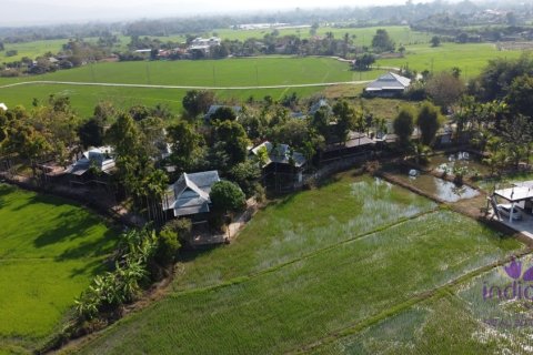 Terreno en Mae Rim, Tailandia № 205595 - foto 5
