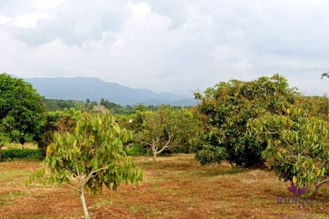 Terreno en Chiang Dao, Tailandia № 200404 - foto 5