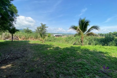 House in Mae Rim, Thailand 3 bedrooms № 200403 - photo 14