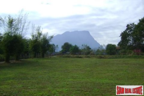 Terrain à Chiang Dao, Thaïlande 248 m2 № 202596