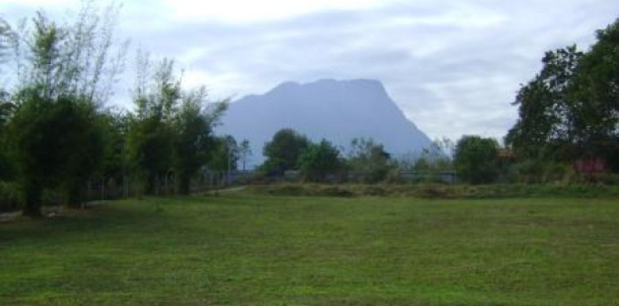 Terreno 248 m2 en Chiang Dao, Tailandia № 202596