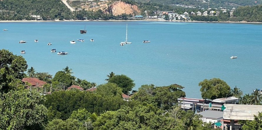 Grundstück in Ko Samui, Thailand 800 m2 № 172476