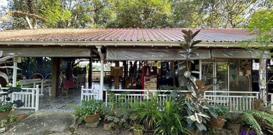 Local comercial en Chiang Mai, Tailandia № 162637