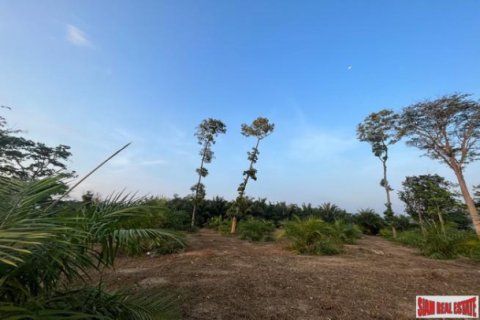 Terreno 2784.8 m2 en Phang Nga, Tailandia № 203338 - foto 4