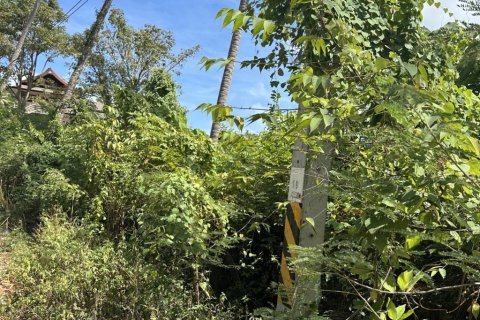 Terreno en Surat Thani, Tailandia № 172935 - foto 5