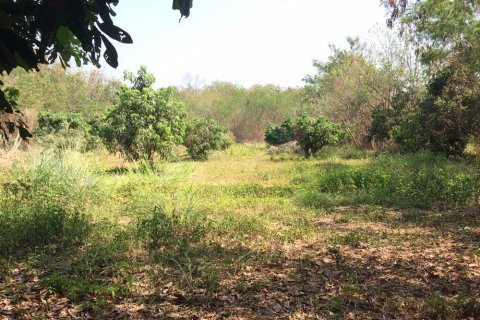 Terreno en Chiang Mai, Tailandia № 162488 - foto 4