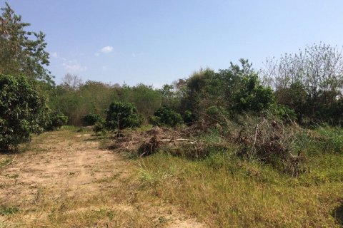 Terreno en Chiang Mai, Tailandia № 162488 - foto 3