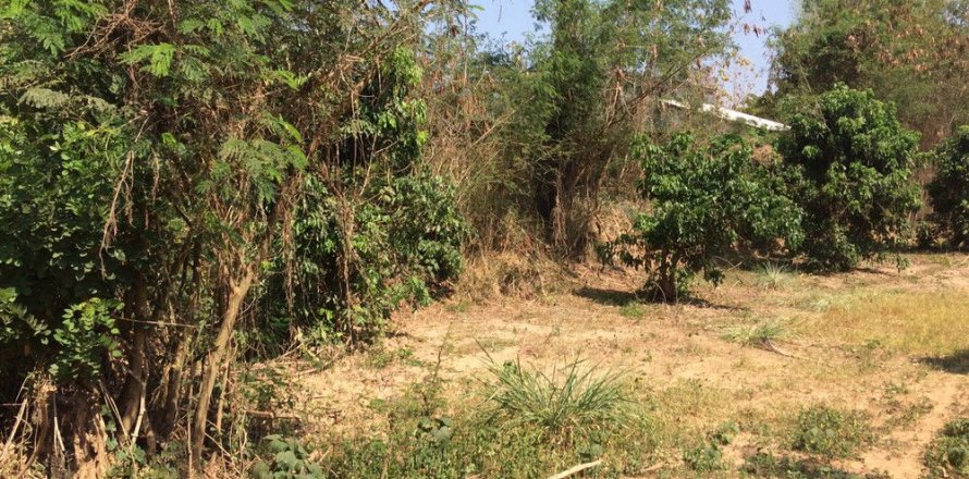 Terreno en Chiang Mai, Tailandia № 162488