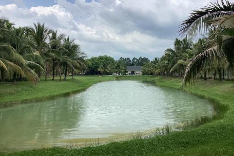 Studio in Khok Kloi, Thailand № 124924 - photo 7