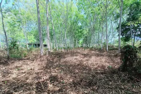 Terreno en Phuket, Tailandia № 131593 - foto 4