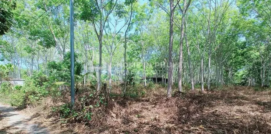 Terreno en Phuket, Tailandia № 131593