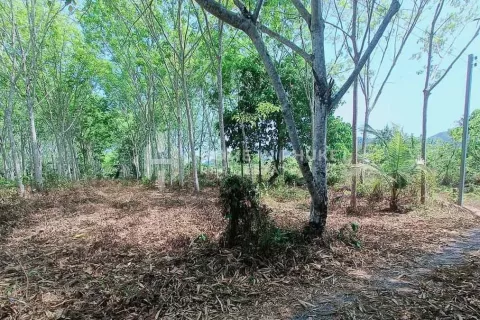 Terreno en Phuket, Tailandia № 131593 - foto 2