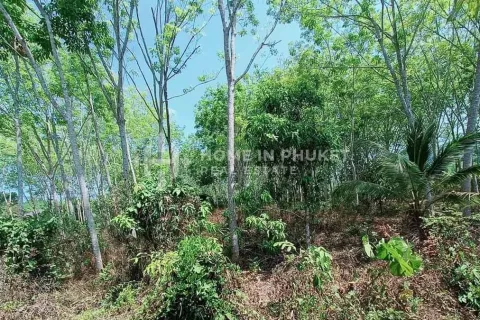 Terreno en Phuket, Tailandia № 131593 - foto 3