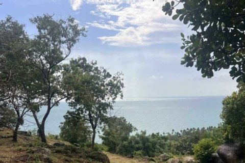 Terreno en Surat Thani, Tailandia № 115775 - foto 3