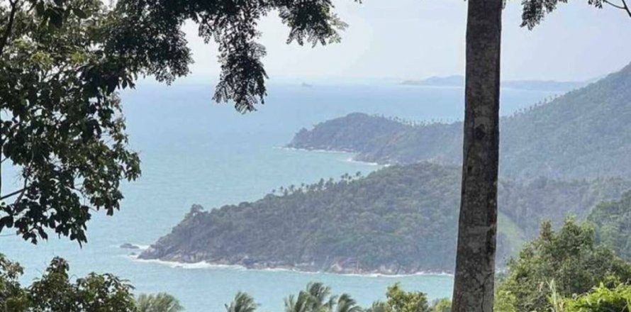 Terreno en Surat Thani, Tailandia № 115775