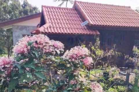 Terreno en Surat Thani, Tailandia № 115775 - foto 5