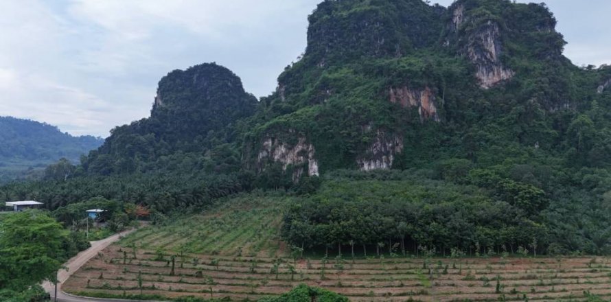 ที่ดินในกระบี่, ประเทศไทย № 132823