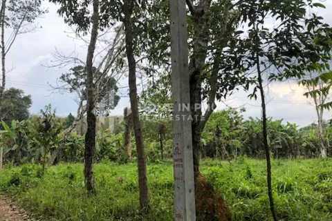 Terreno en Mai Khao, Tailandia № 130920 - foto 7