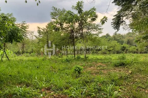 Terreno en Mai Khao, Tailandia № 130920 - foto 6