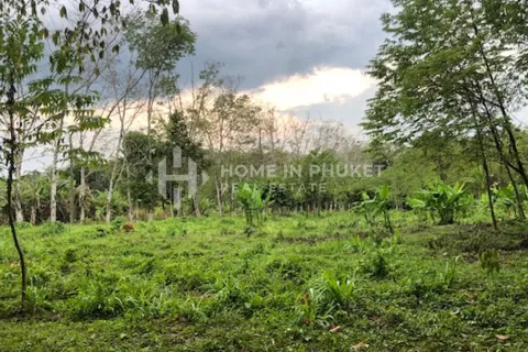 Terreno en Mai Khao, Tailandia № 130920 - foto 5