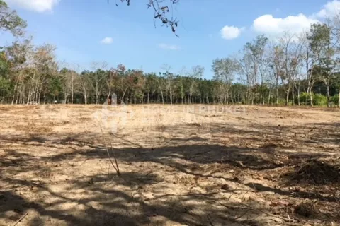 Terreno en Mai Khao, Tailandia № 130920 - foto 3