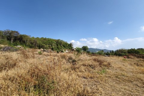 Land in Ko Samui, Thailand № 121206
