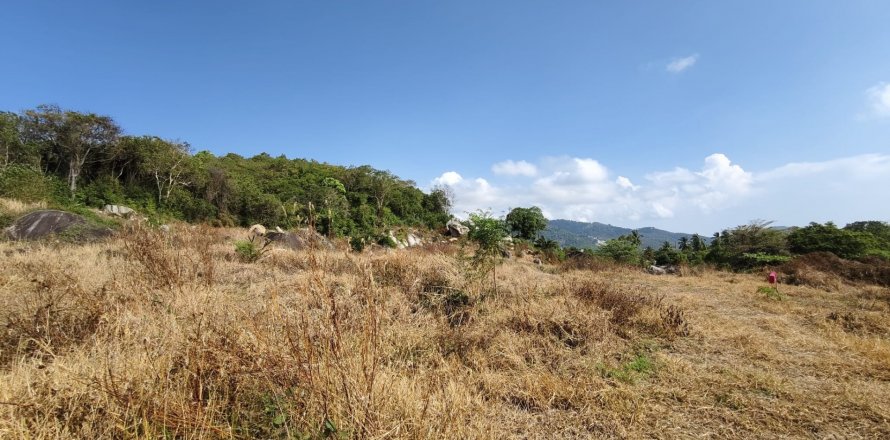 Terrain à Ko Samui, Thaïlande № 121206