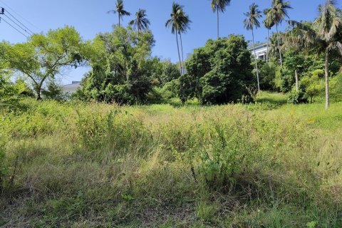 Land in Ko Samui, Thailand № 121207