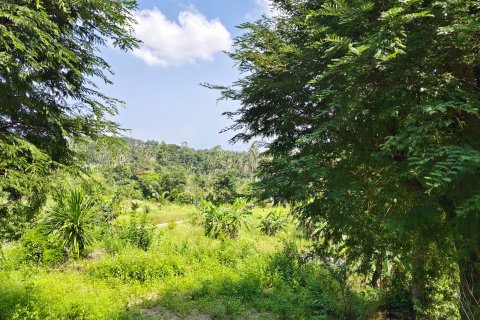 Terreno en Ko Samui, Tailandia № 119842 - foto 6