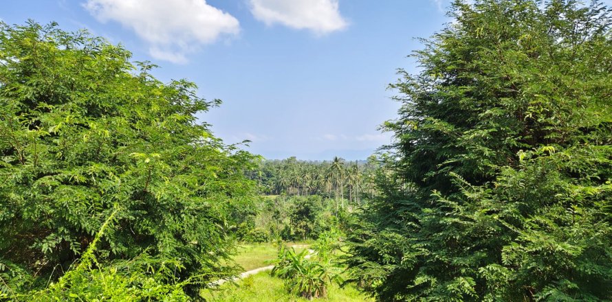 Terreno en Ko Samui, Tailandia № 119842