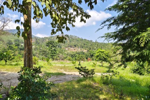 Terreno en Ko Samui, Tailandia № 119842 - foto 3