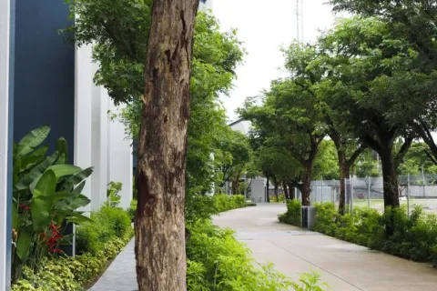อพาร์ตเมนต์ในภูเก็ต, ประเทศไทย 1 ห้องนอน № 107367 - รูปถ่าย 27