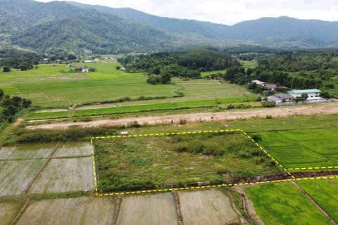 Terreno en Chiang Rai, Tailandia № 125938 - foto 10