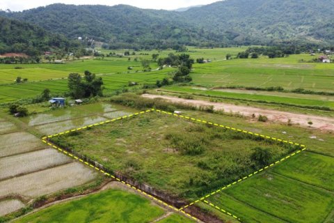 Terreno en Chiang Rai, Tailandia № 125938 - foto 8