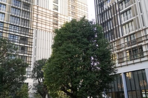 Condo à Bangkok, Thaïlande, 1 chambre № 142990 - photo 10