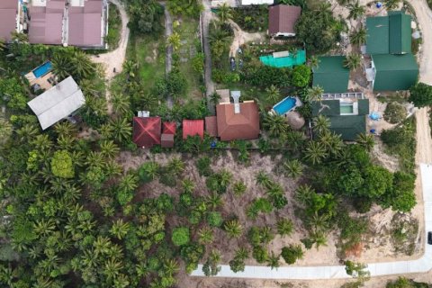 Terreno en Surat Thani, Tailandia № 132501 - foto 8