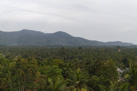 Terreno en Surat Thani, Tailandia № 132501 - foto 3