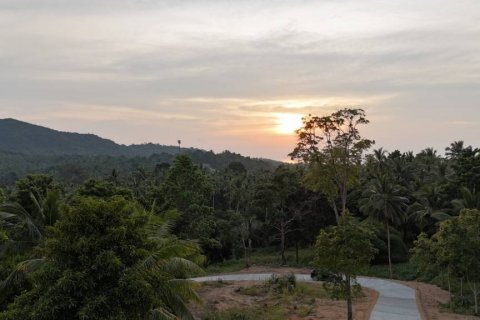 Terreno en Surat Thani, Tailandia № 132501 - foto 6