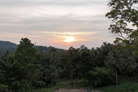Terreno en Surat Thani, Tailandia № 132501 - foto 7