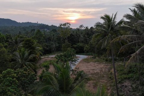 Terreno en Surat Thani, Tailandia № 132501 - foto 5