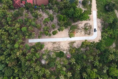 Terreno en Surat Thani, Tailandia № 132501 - foto 10