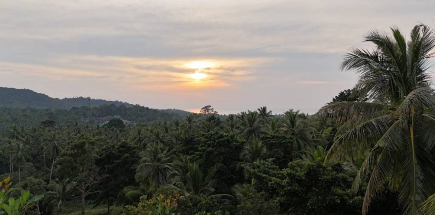 Terreno en Surat Thani, Tailandia № 132501
