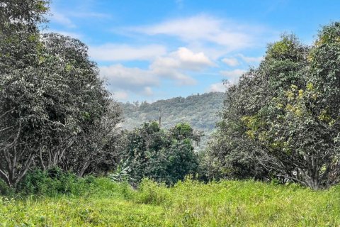 Terreno en Surat Thani, Tailandia № 124431 - foto 8