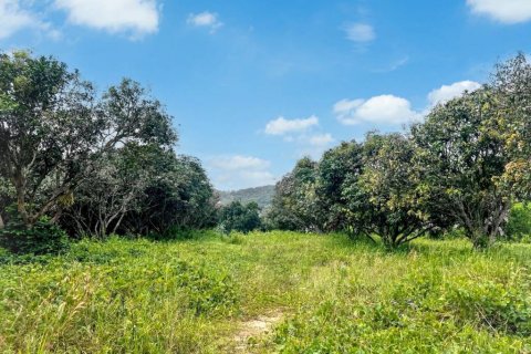 Terreno en Surat Thani, Tailandia № 124431 - foto 6